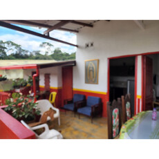 Venta De Finca Cafetera En Jericó Antioquia
