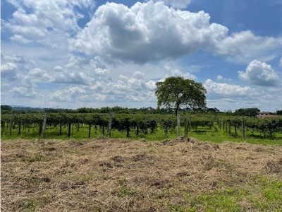 Terreno / Solar de 46997 m2 - Armenia, Quindío Department