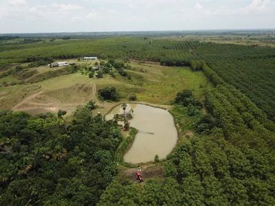 Espectacular Finca En El Llano, Puerto Lopez, Meta , Plantacion De Caucho Natural . Llanos Orientales